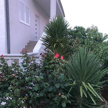 Apartment Raslina Zewnętrze zdjęcie